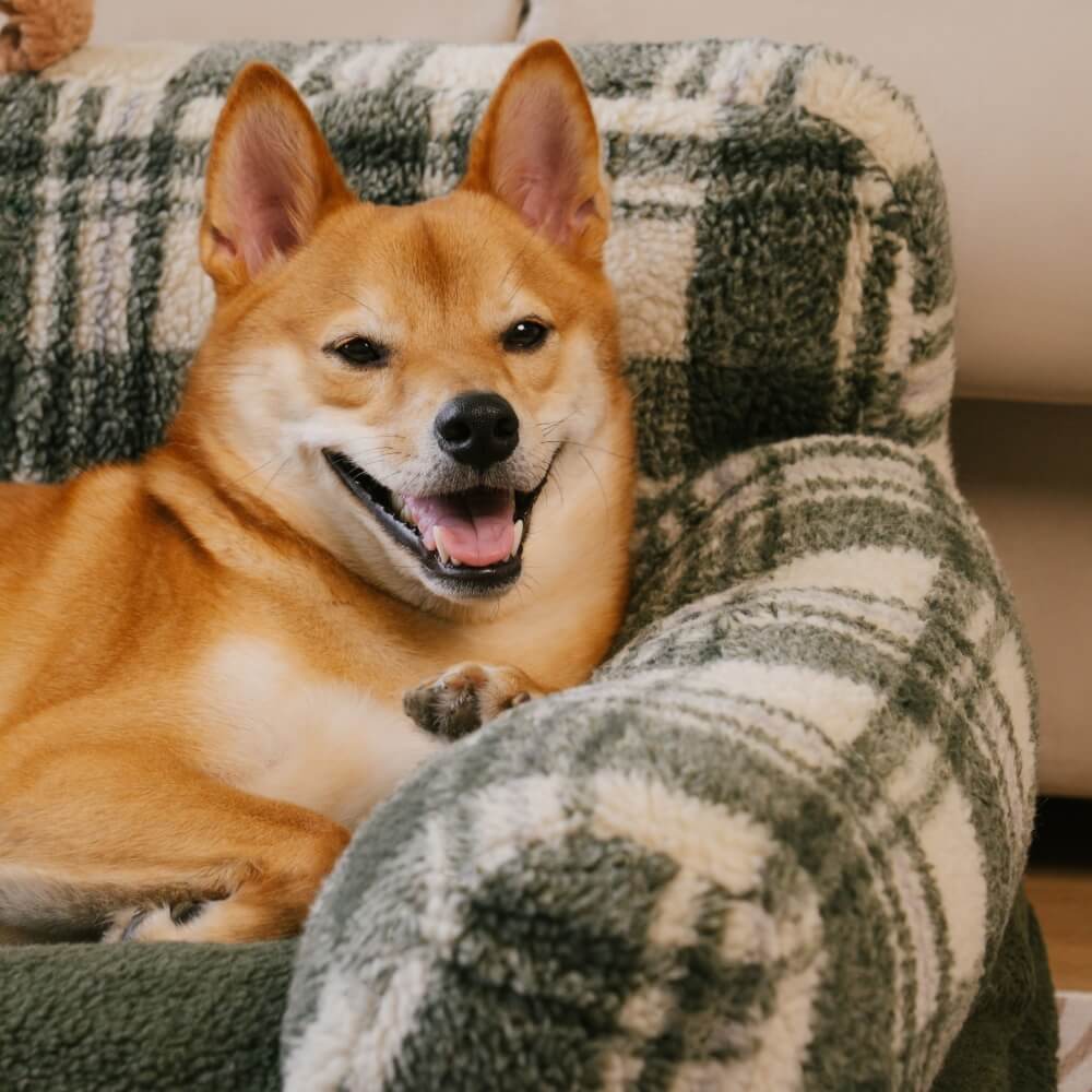 Plush calming dog and cat bed with raised edges, machine washable for hygiene