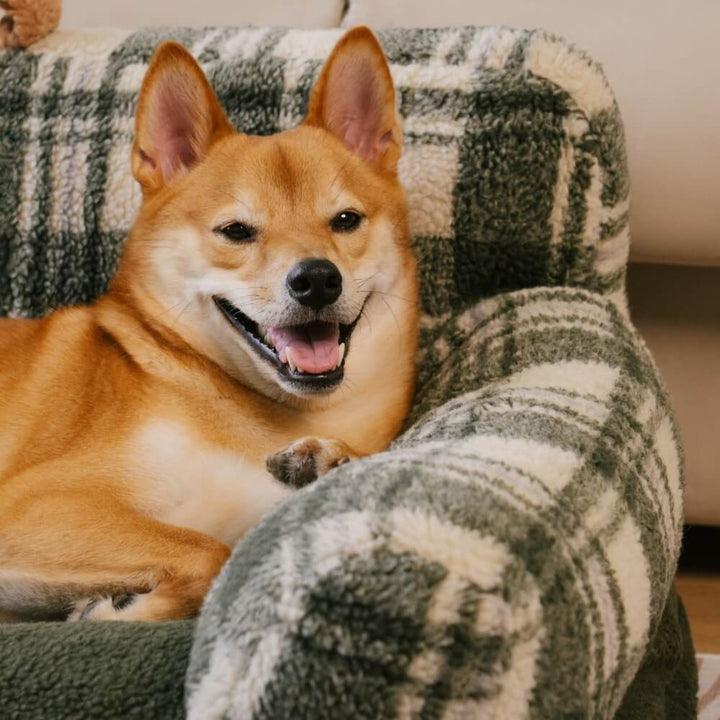 Plush calming dog and cat bed with raised edges, machine washable for hygiene