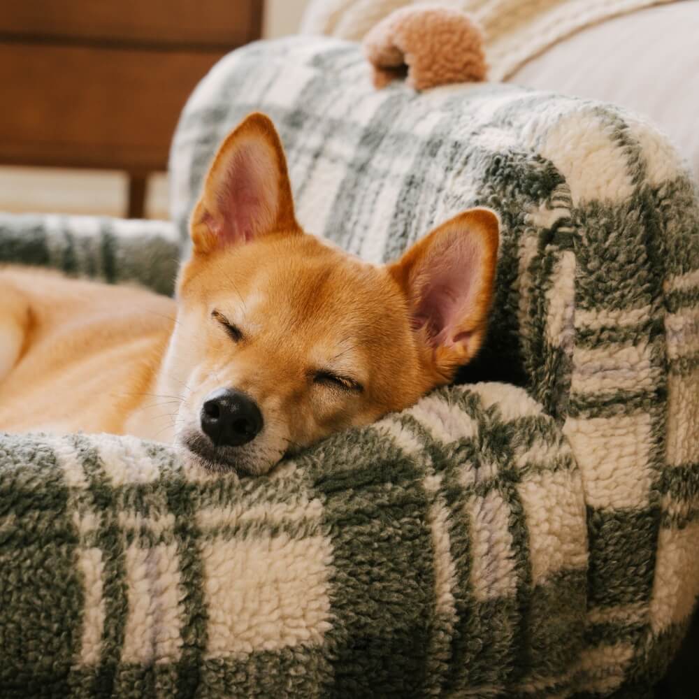 Close-up of the ultra-soft plush fabric of a calming pet sofa bed, checkered pattern