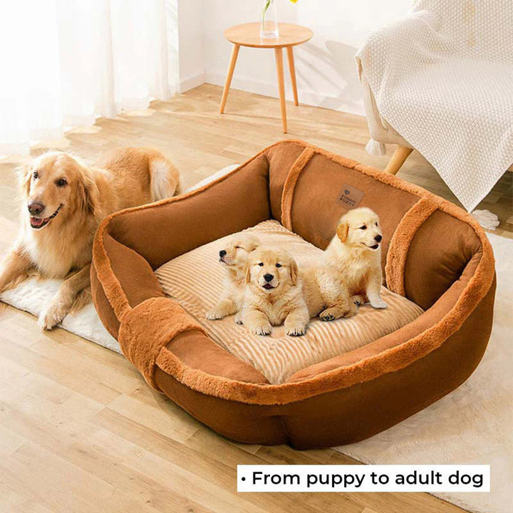 Calming dog bed on a hardwood floor, washable plush pet bed with a thick, supportive base.