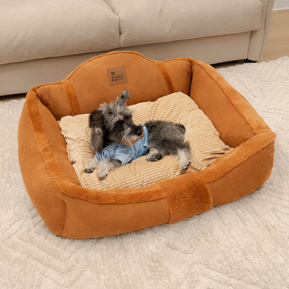 Small dog curled up happily in a cozy calming sofa dog bed with raised rim support.