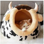 Cow