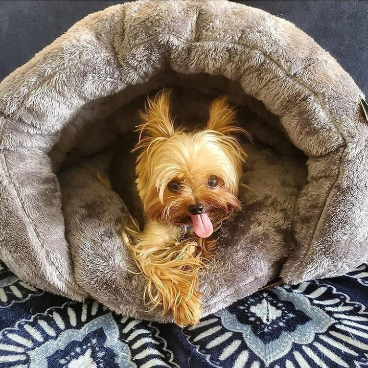 Cozy Cave pet bed for dogs and cats, plush and comfortable, for indoor relaxation