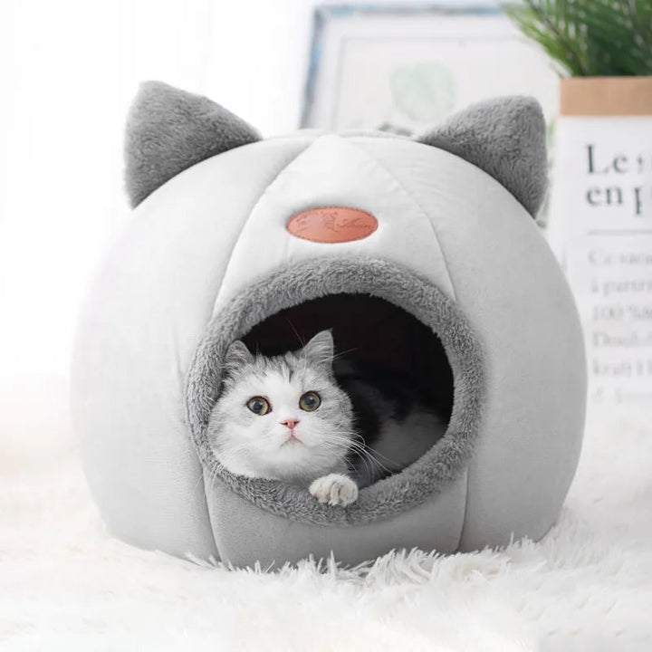 Small dog bed in a cozy tent style, offering a warm and deep sleep sanctuary for pets.