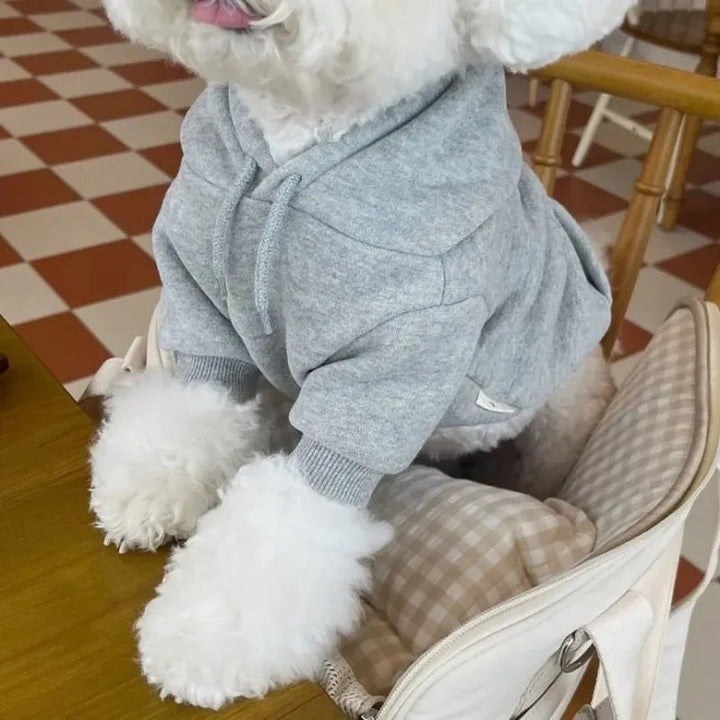Cozy dog hoodie sweatshirt in plush fabric, perfect for autumn and winter pet warmth.