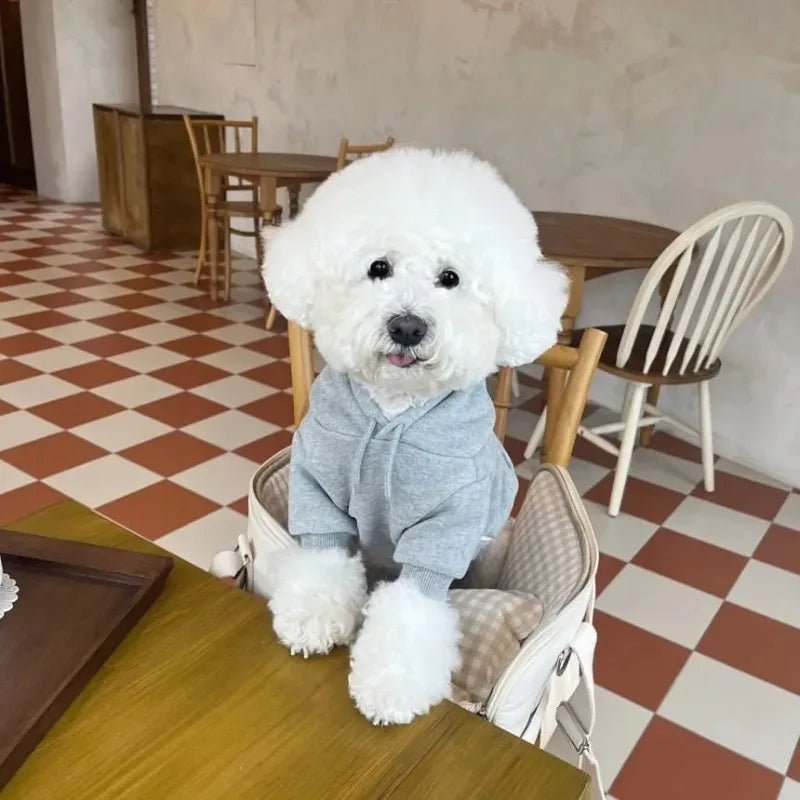 Durable dog winter apparel: a pet hoodie sweatshirt designed for autumn and winter leisurewear.
