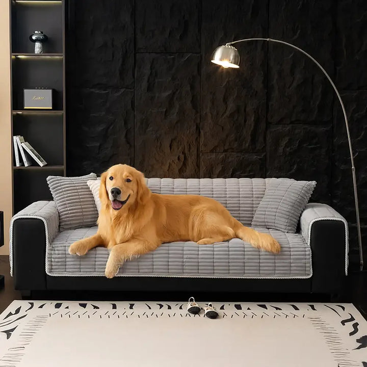Warm flannel couch cover, adding comfort and style while protecting against pets.