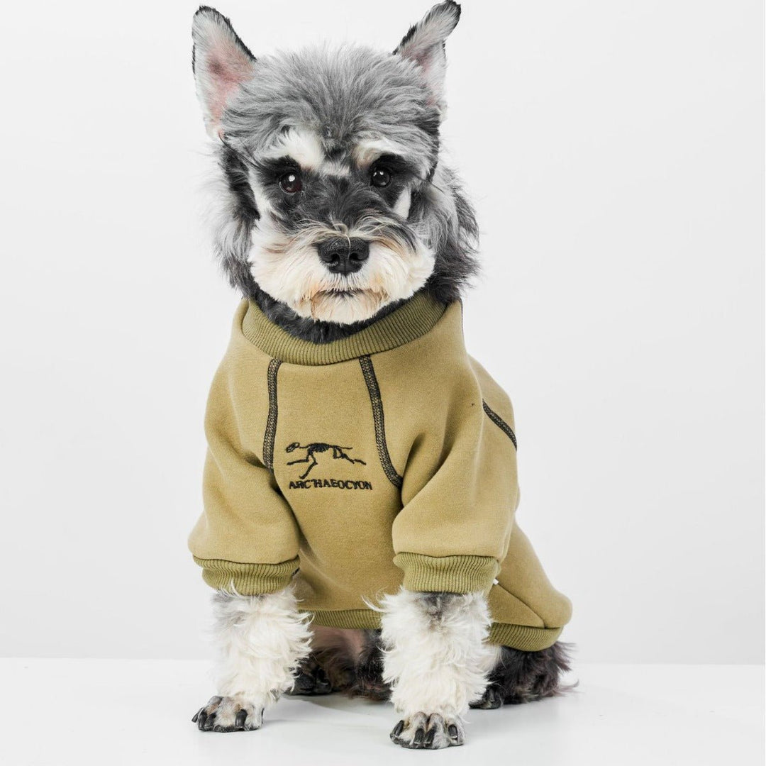 Cozy fleece dog hoodie in black with zipper, perfect for small to medium dogs in winter.