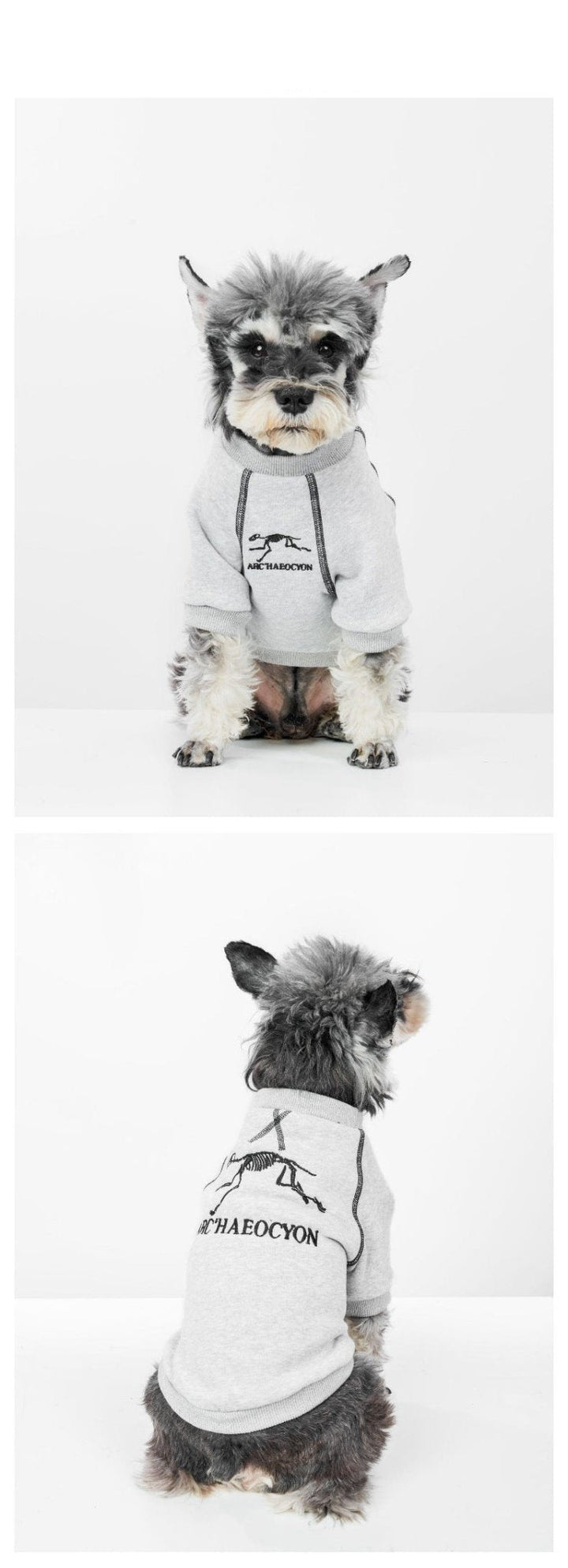 Stylish small dog cozy hoodie, light blue fleece with zipper for winter warmth.