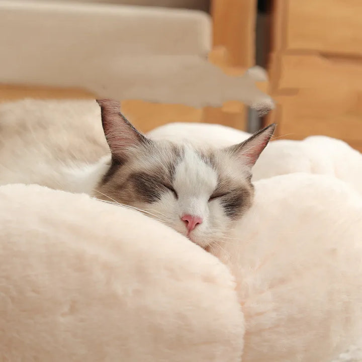 Soft cat cave pet bed shaped like a flower basket, ideal for feline relaxation and sleep.
