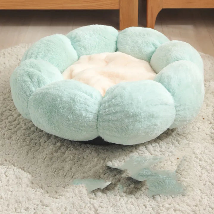 Flower-themed pet bed, a cozy cat cave for ultimate comfort and playful pet supplies.