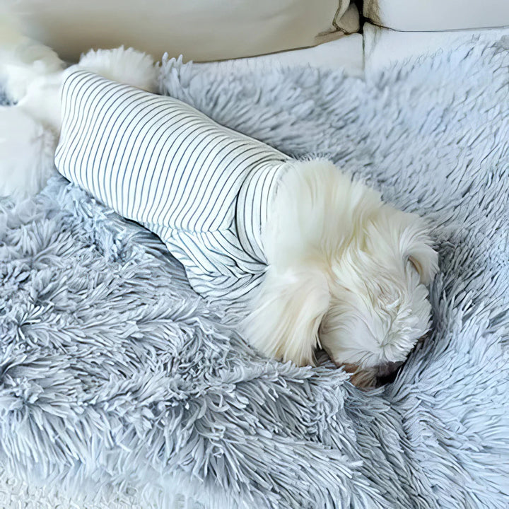 Soft, machine washable pet fleece blanket providing comfort for dogs and cats on a sofa, in a living room.
