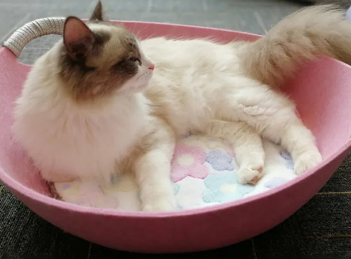 Close-up of a cozy felt cat bed with integrated handles, highlighting the soft texture for pets.