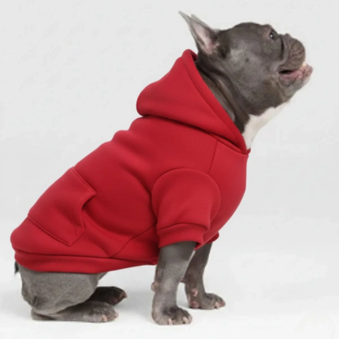 Cozy gray pet dog hoodie sweatshirt with pocket, ideal for small to medium dogs in winter.