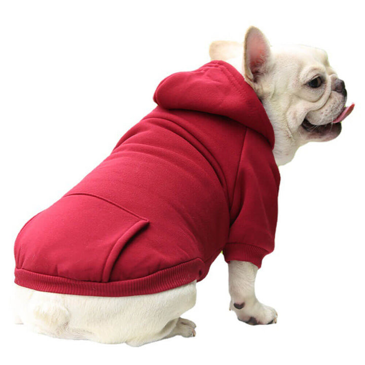 Grey pet hoodie sweatshirt for dogs, showing pocket detail and ribbed cuffs, dog accessories.
