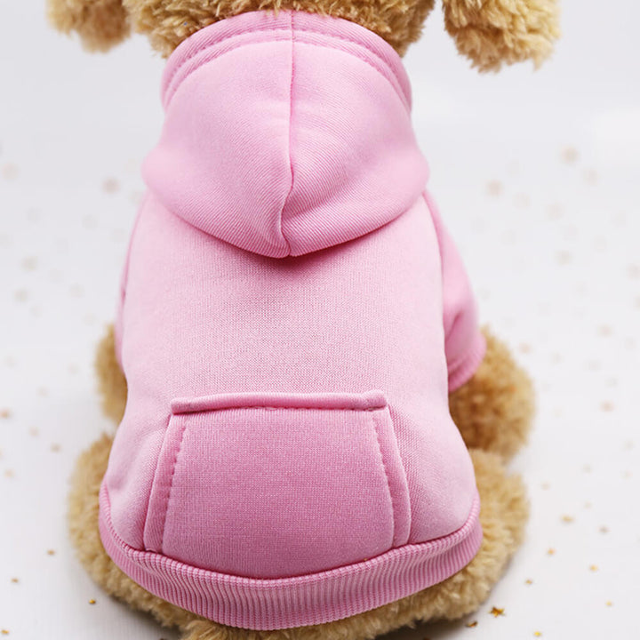 Dog wearing a colorful striped pet hoodie sweatshirt with pocket, vibrant pet fashion.