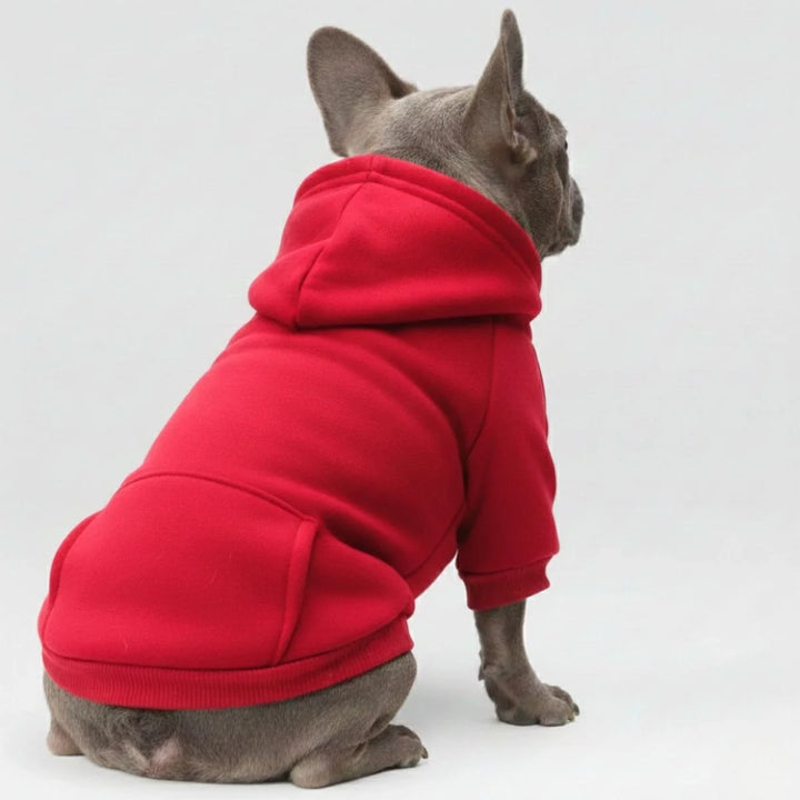 Stylish blue pet dog hoodie sweatshirt with functional pocket, perfect winter dog apparel.