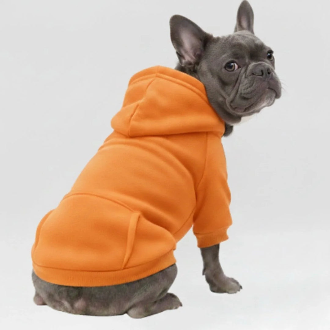 Green unisex dog hoodie sweatshirt with pocket, soft fabric for ultimate pet comfort.