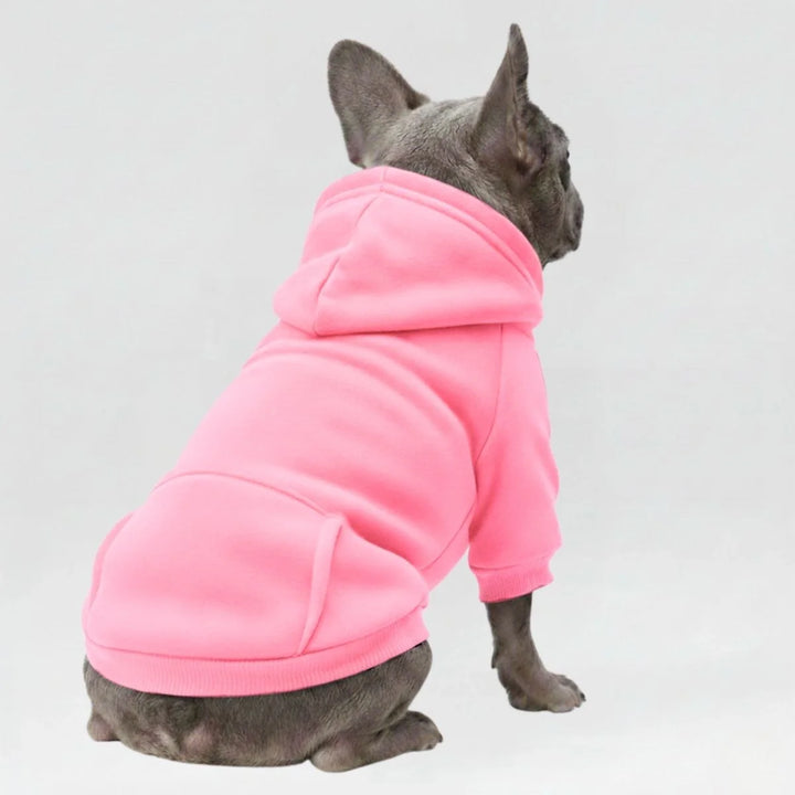Close-up of a dog wearing a pet hoodie sweatshirt with a small pocket detail, pet fashion.