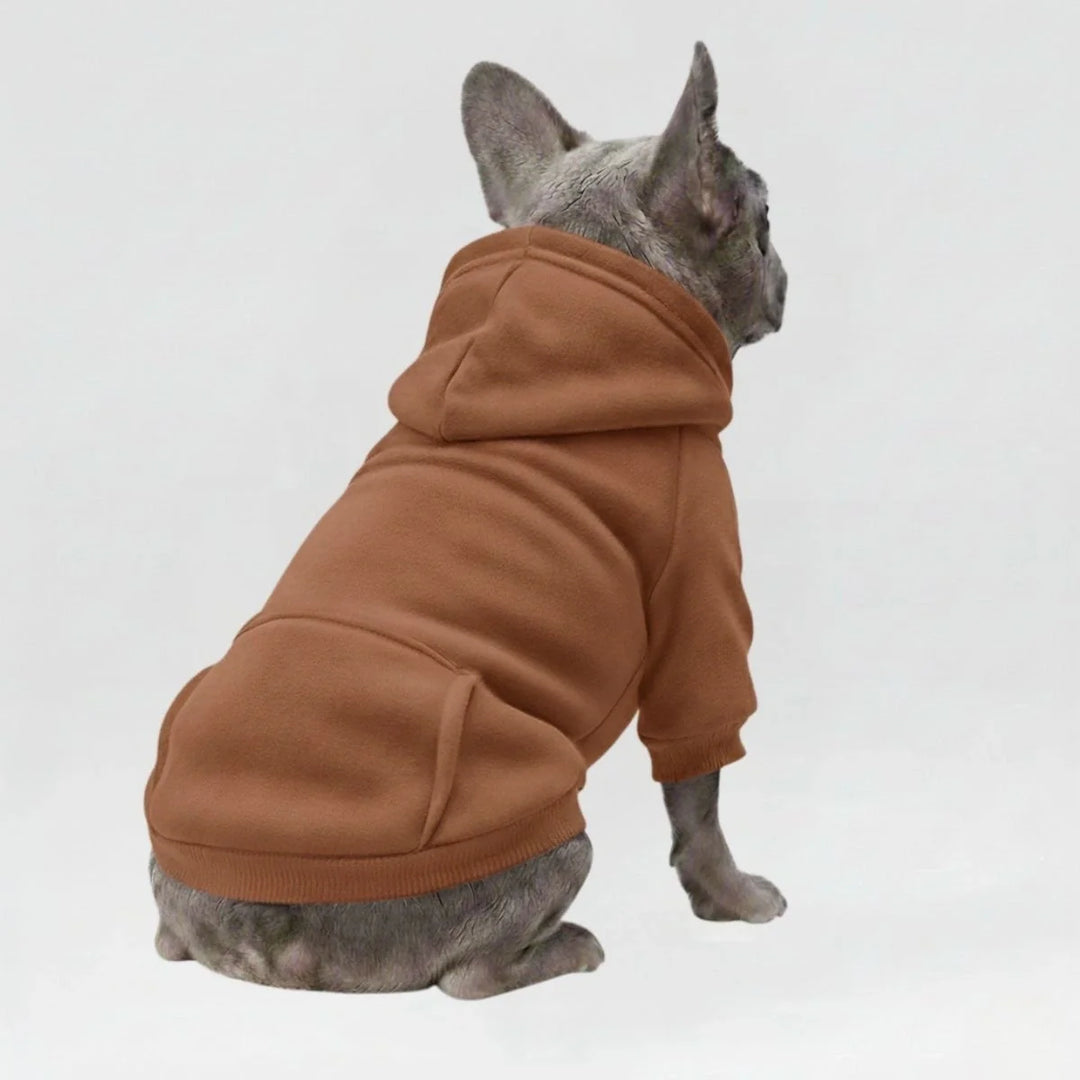 Cute puppy wearing a comfortable orange dog hoodie sweatshirt with a back pocket.