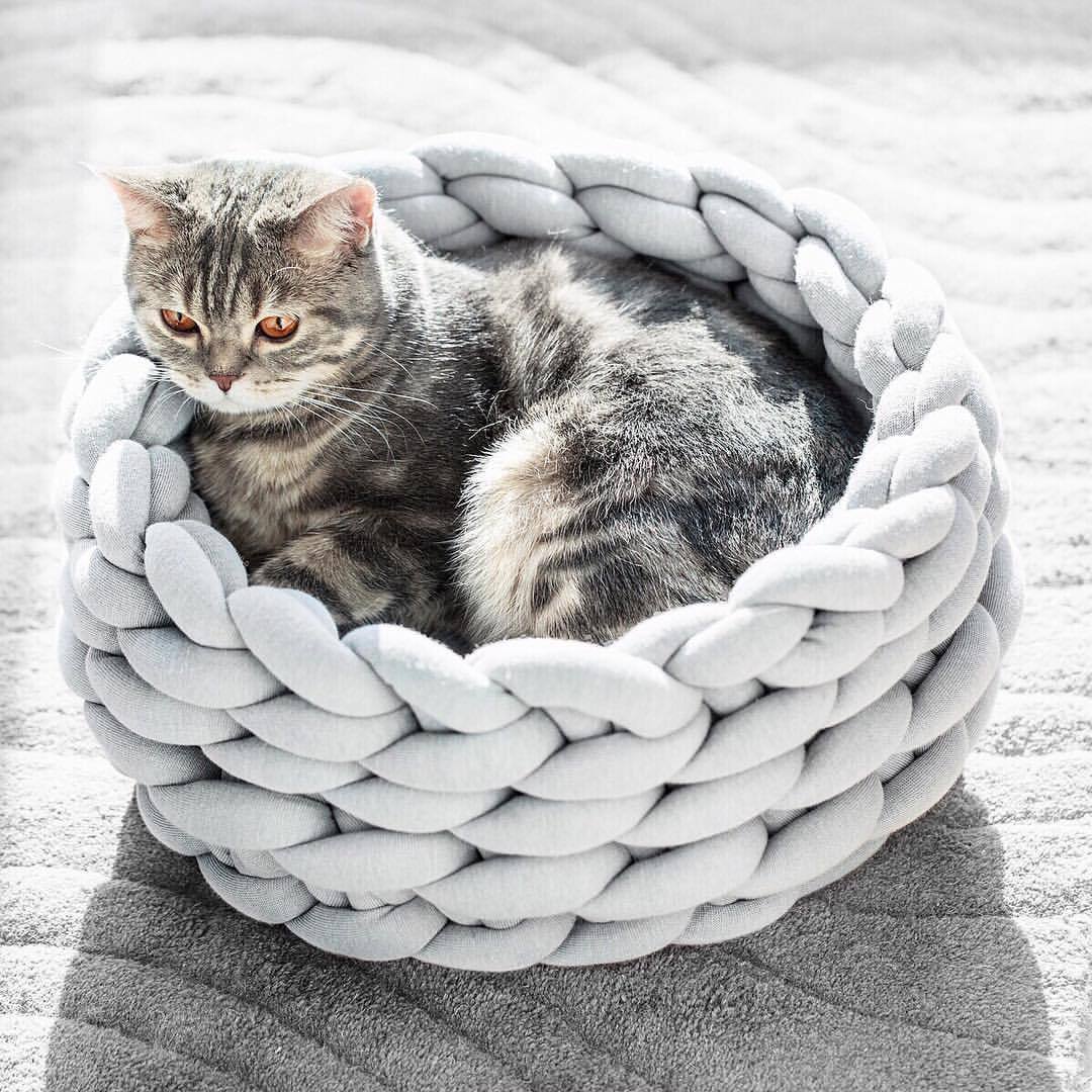 Cozy knitted cat bed, handwoven for feline comfort, with soft yarn texture – perfect pet furniture.