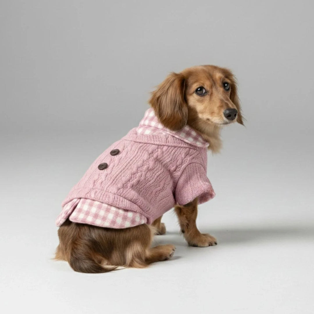 Cozy knitted dog sweater with plaid collar for small dog, warm winter pet apparel