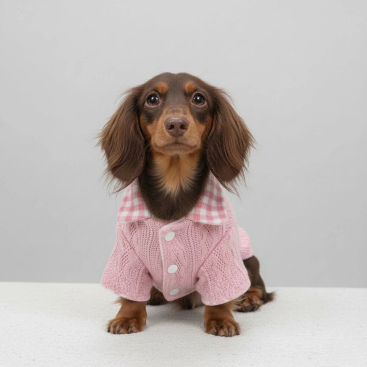 Cute knitted dog sweater featuring a stylish plaid collar, perfect for medium dogs