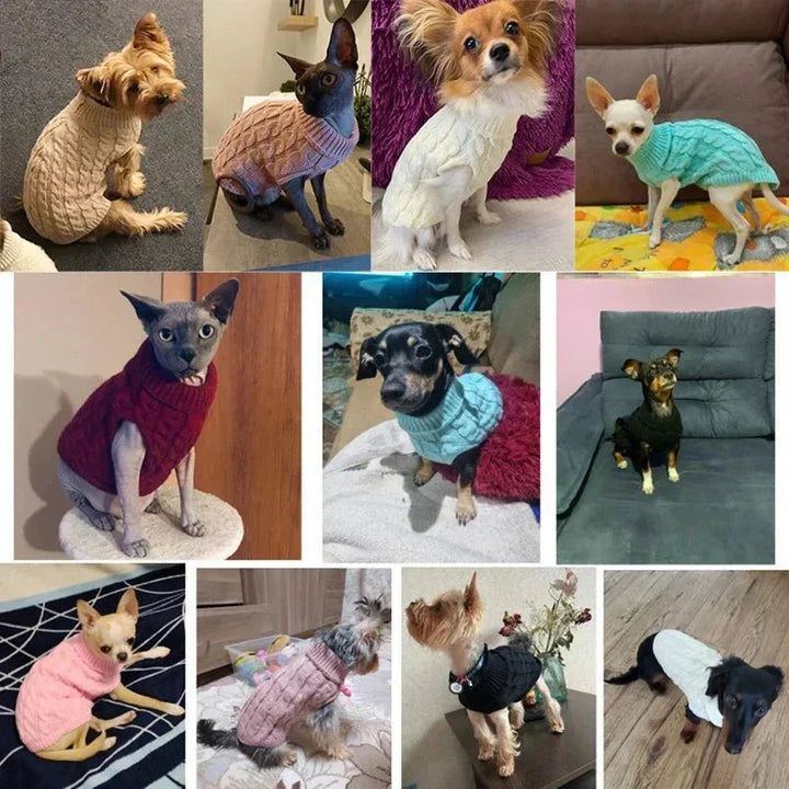 Group of assorted color knitted high-neck dog sweaters, ideal warm pet clothing for small breeds.