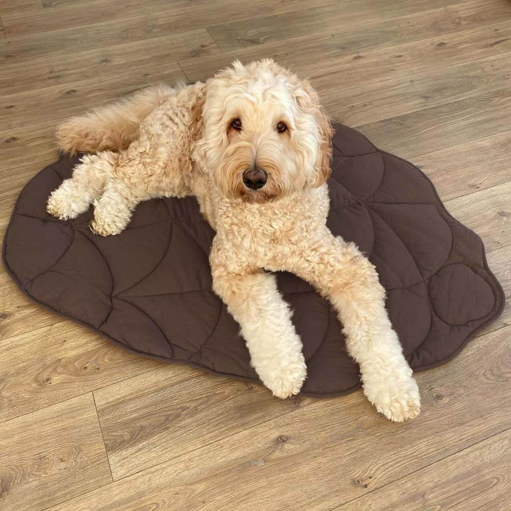 Luxury pet blanket featuring a stylish leaf design, perfect cozy dog bed or cat mat.