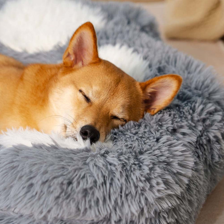 Comfortable pet furniture: non-slip dog bed, plush and cozy, with paw design for a small pet.