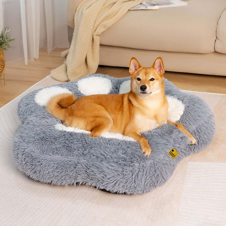 Small dog bed in a living room setting, showcasing its cozy paw design and non-slip bottom.
