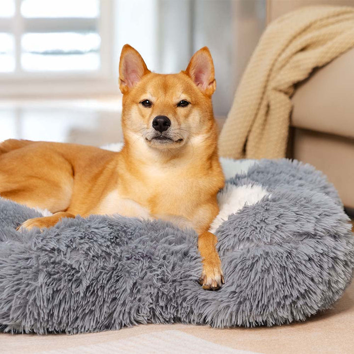 Top-down view of a round fluffy dog bed, pink, with a central paw spot, washable and non-slip.