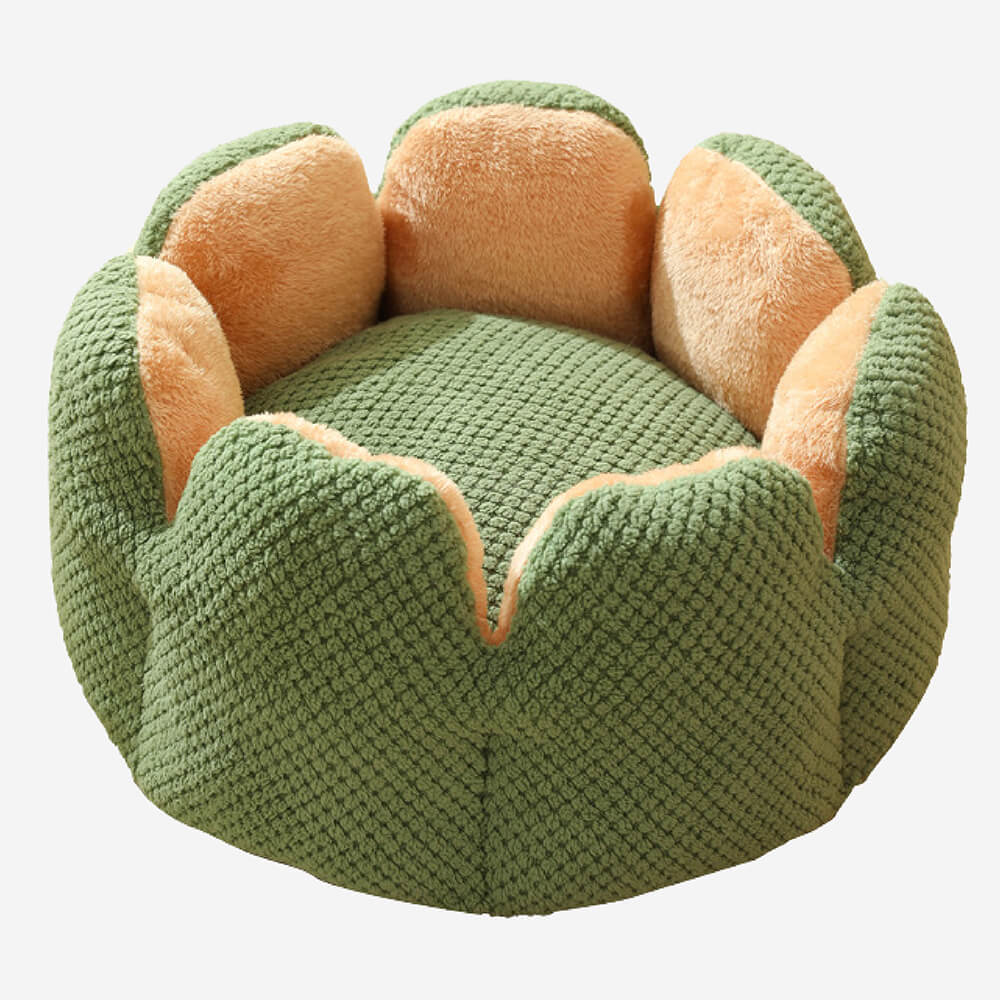 Cozy pet bed, a stylish pet accessory with an adorable cactus design, offering maximum comfort