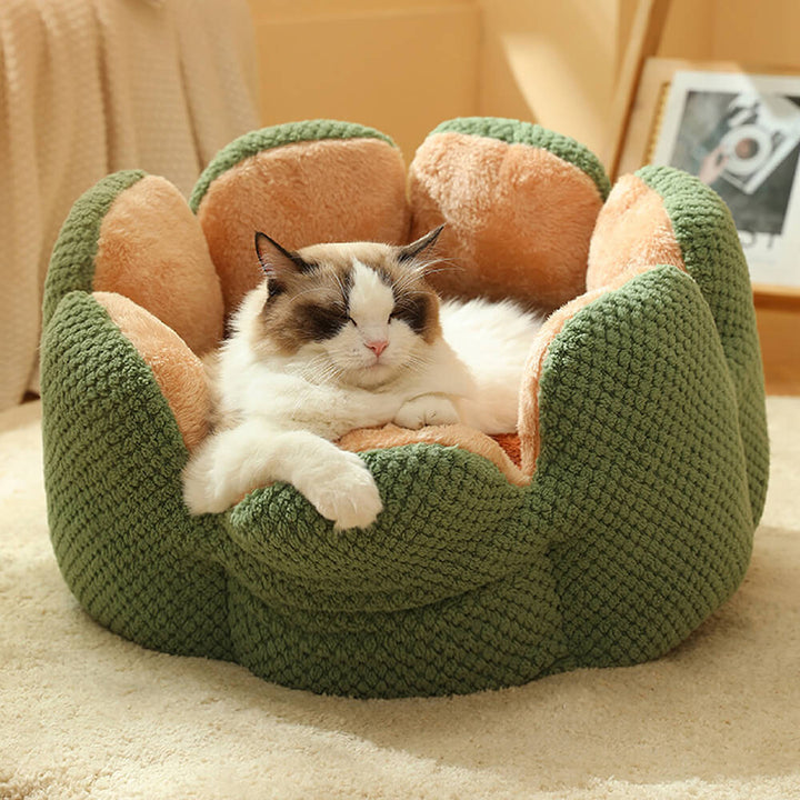 Dog bed with a unique cactus design, offering a cozy and secure space for rest and sleep