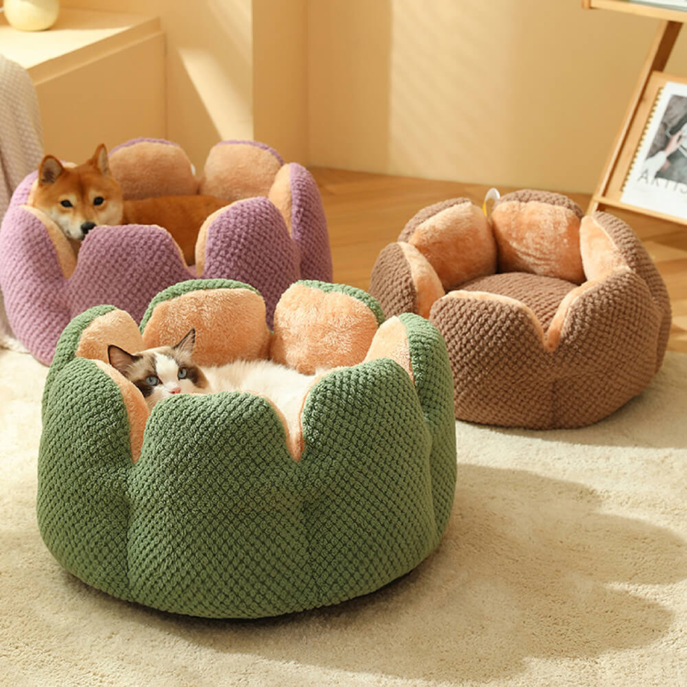 Washable cozy pet bed, perfect for any pet, adorned with a fun and colorful cactus motif