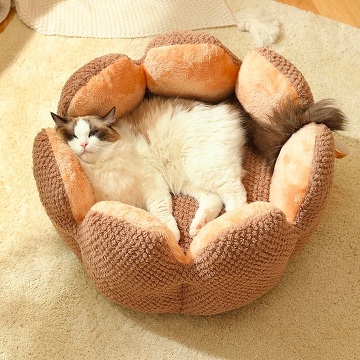 Soft pet bed combining coziness with a distinctive cactus design, suitable for pet owners