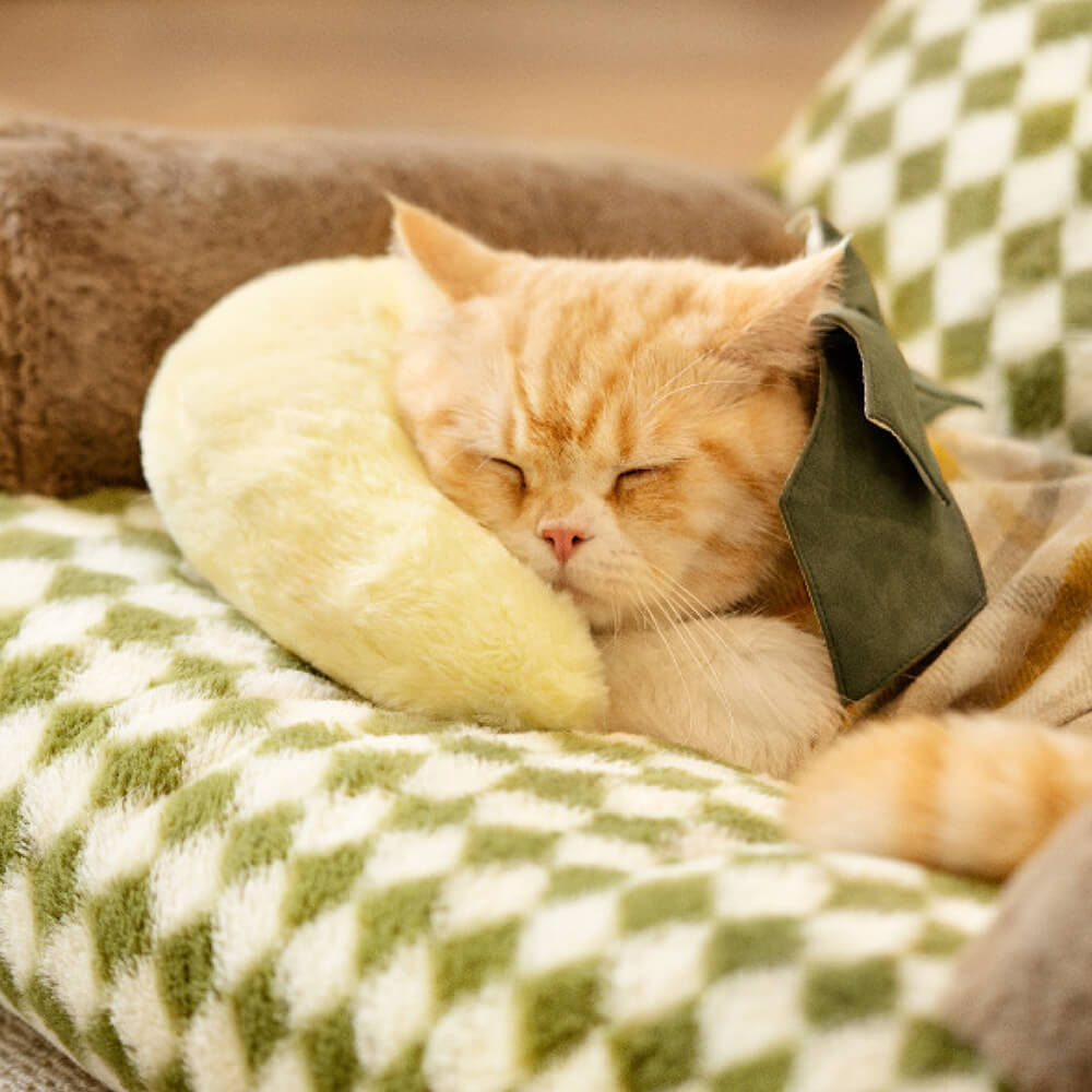 Cozy pet comfort pillow for cats and small dogs, soft washable pet bed