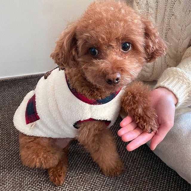 Dog winter wear: Stylish plaid fleece vest and scarf set for small to medium pets.