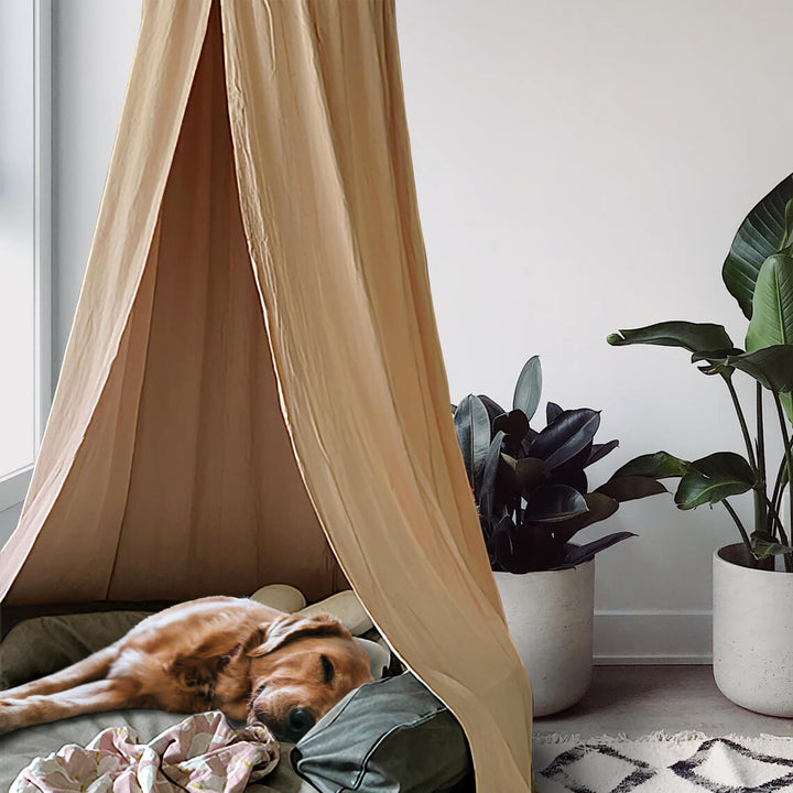 Cozy Pet Teepee Tent for dogs and cats, soft cotton fabric, easy install, home decor pet house