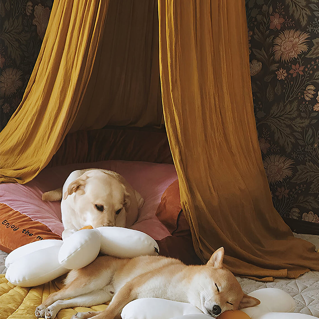 Cute pet teepee tent with cushion for small dogs or cats, stylish dog tent, cozy pet bed