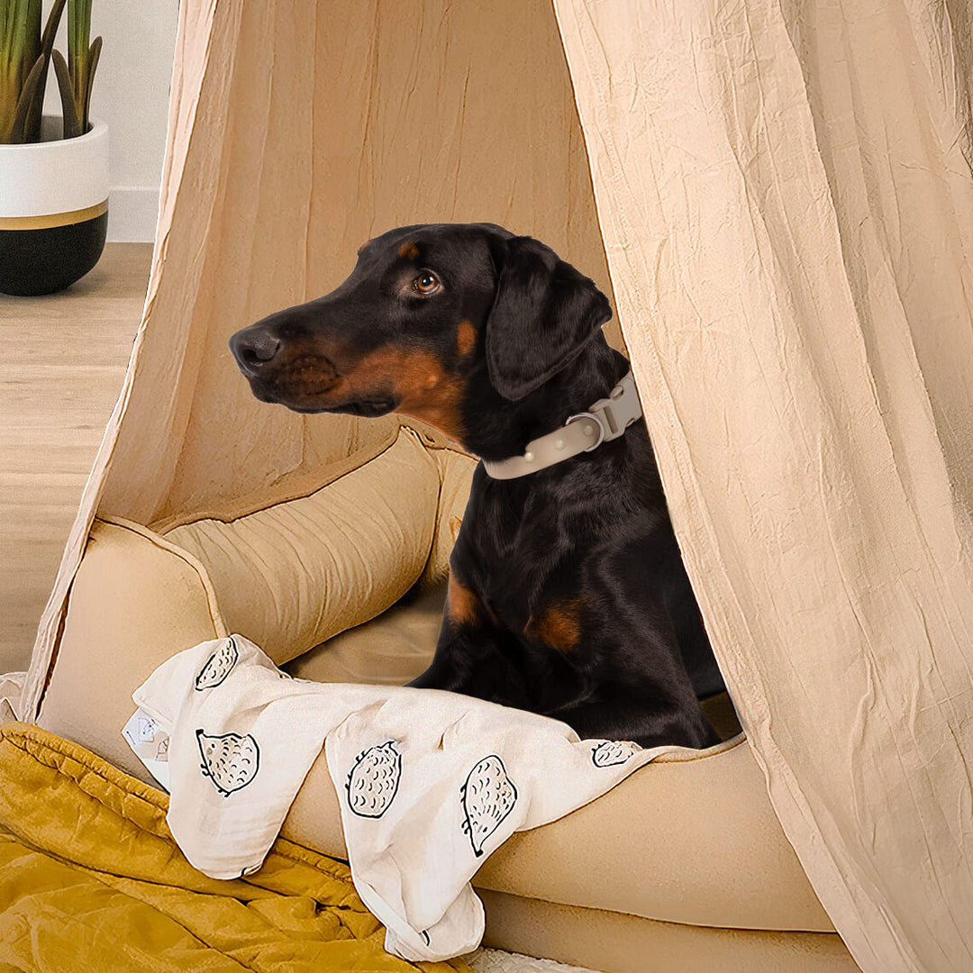 Stylish pet teepee for cats and dogs, neutral color cotton, comfortable pet house accessory