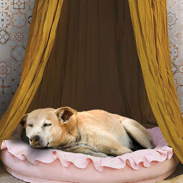 Compact pet teepee tent, ideal dog tent or cat bed for small spaces, stylish pet accessory