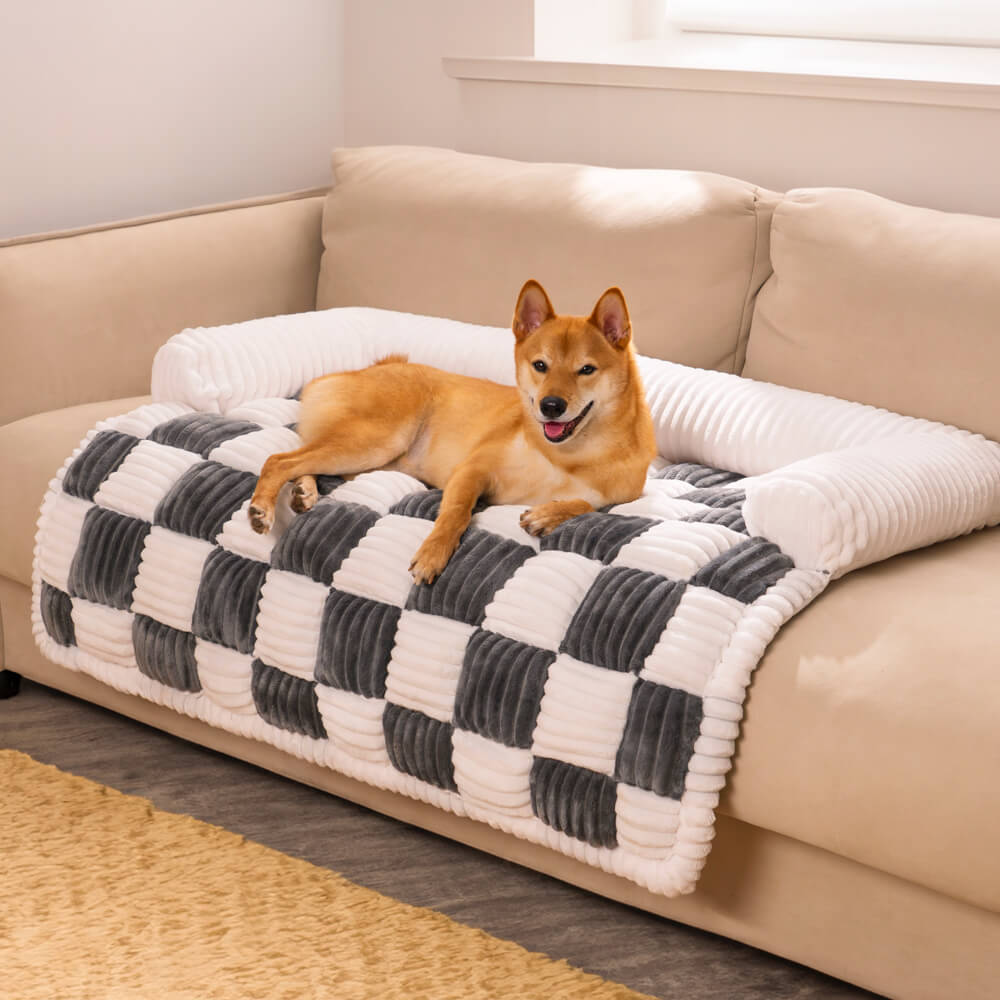 Stylish plaid furniture protector, transforming a couch into a comfy pet resting spot.