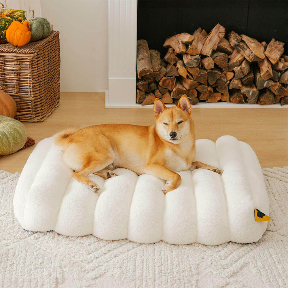 Creamy orthopedic dog bed, memory foam, durable, washable for large dogs.