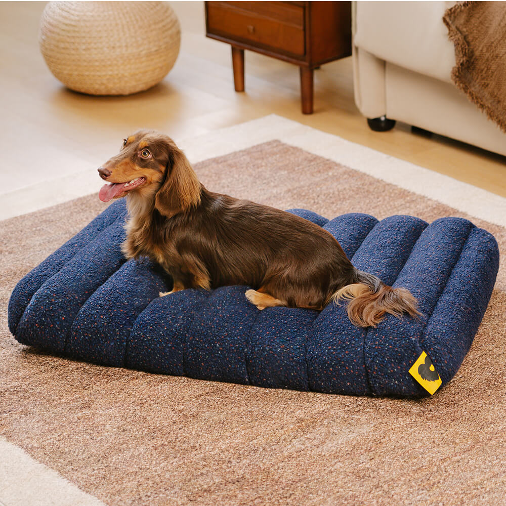 Large dog memory foam pet bed, creamy, orthopedic, machine washable.
