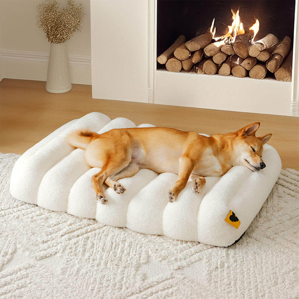 Cozy creamy dog bed, flat design, orthopedic support, perfect for crates.