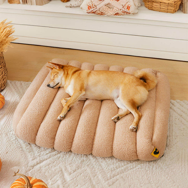Washable creamy pet bed, memory foam, comfortable, ideal for all seasons.