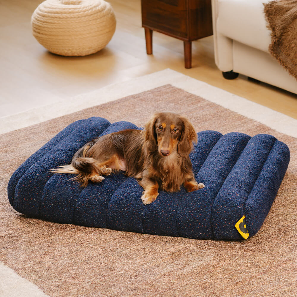 Creamy orthopedic memory foam dog bed, cozy and supportive for pets.