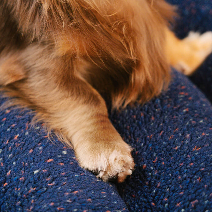 Washable pet bed, creamy color, orthopedic, suitable for large dogs.