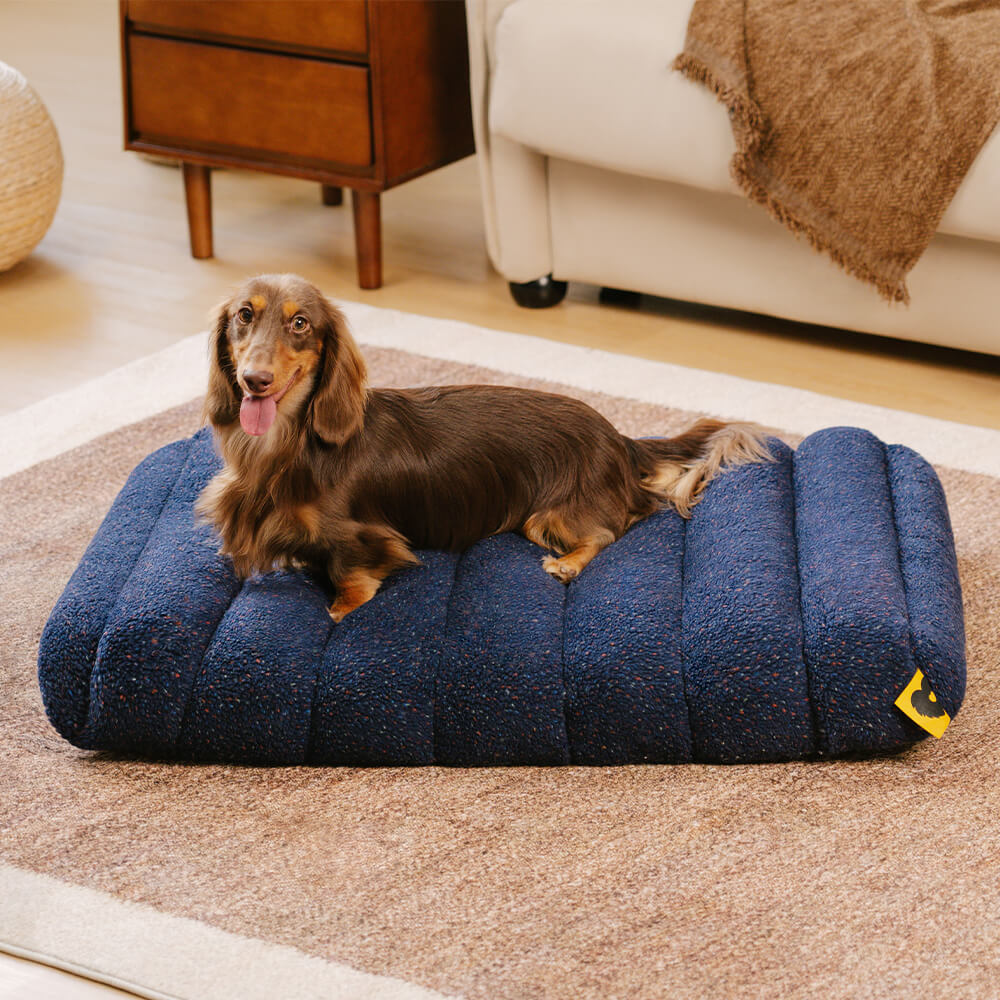 Creamy memory foam dog bed, comfortable and supportive, all seasons.